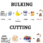 Best Protein Shakes for Bulking and Cutting (Easy Guide) 3